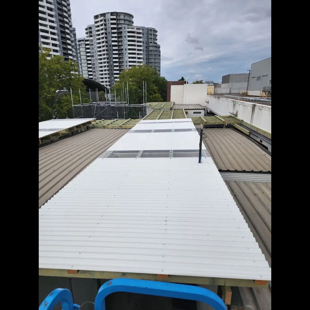 Professional Roofing Works